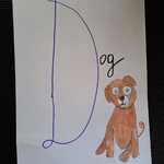 IMG-20240226-WA0008.jpg