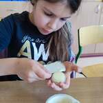 acd3ce97-3d4f-4e80-9877-1ff3c042330c.jpeg