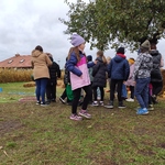 IMG_20241014_105920.jpg
