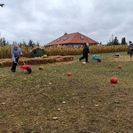 IMG_20241014_110516.jpg