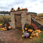 IMG_20241014_095851.jpg
