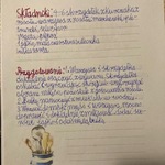 IMG_2072.jpg