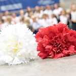 11.11 -apel-41.jpg