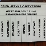 1740380327981.jpg