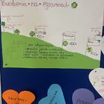0e71df38-a82e-4bc3-9a39-547c0adee5bd.jpg