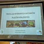 Zdjęcie WhatsApp 2025-05-16 o 22.04.34_fa321548.jpg
