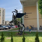 IMG_4001.jpg