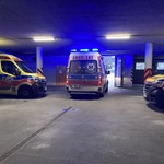 IMG_7737.JPEG