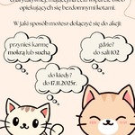 zdjęcie.png