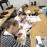 IMG_20251114_082308.jpg