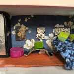 IMG-20251205-WA0006.jpg