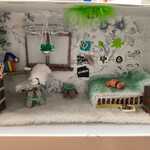 IMG-20251205-WA0012.jpg