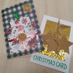 card3.jpg
