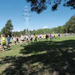 DSCF2226.jpg