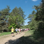 DSCF2238.jpg