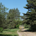 DSCF2251.jpg