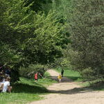 DSCF2302.jpg