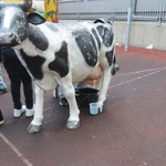 festyn_sp32_(29).JPG