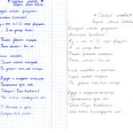 Scan_0003 (5).jpg