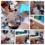 20230502_193434-COLLAGE.jpg