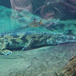 20230425_154344.jpg
