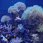 20230425_153948.jpg