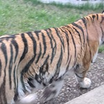 20230425_164545.jpg