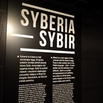 IMG_20231109_150810~2.jpg
