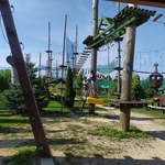 IMG_20220819_094245.jpg
