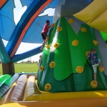 IMG_20220819_111501.jpg
