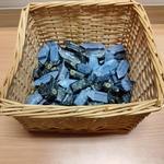 1701418167840.jpg